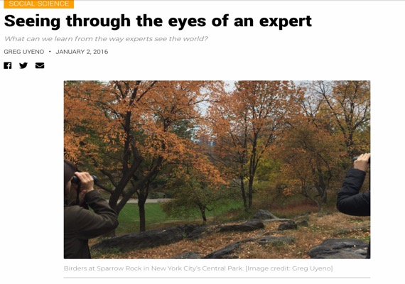 Seeing through the eyes of an expert: What can we learn from the way experts see the world?